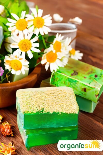 Organicsun Natural Pumpkin Fiber Aloe Vera Soap 120 Gr with Vitamin B and E for All Skin Types
