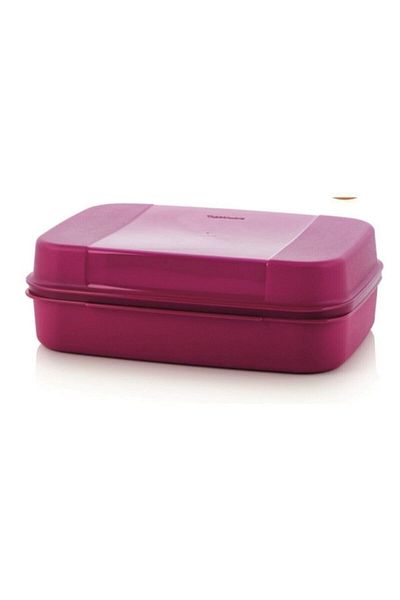 Tupperware F 20 Storage Container