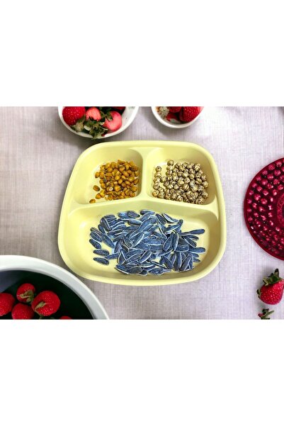 HOLLYHOME Plastic Breakfast Plate - 3 Compartments, 21.5x23x3.5cm, 1 Piece for Picnic Camping Snack Food Serving