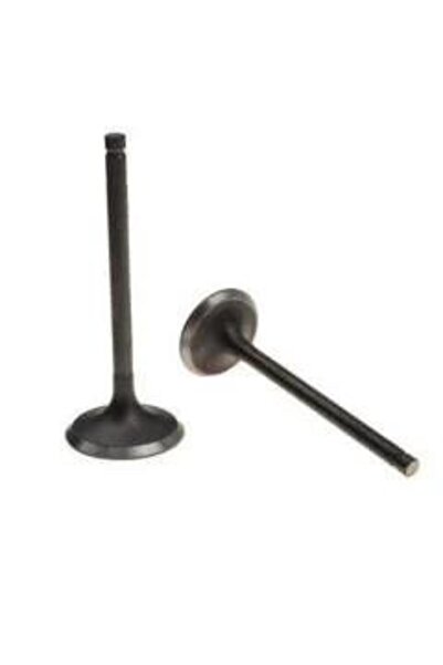 Universal Türkyılmaz Motorsıklet Honda Dio 110 Subap Takım