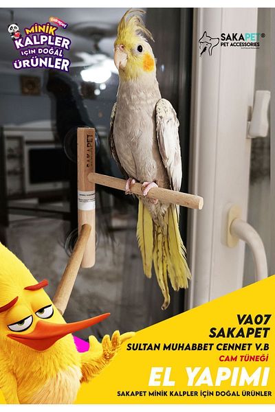 SAKAPET Double Branch Bird Glass Perch with Suction Cup