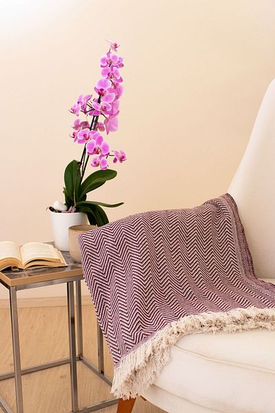 Tabu Home Woven Cozy Comfort Claret Red TV Cover