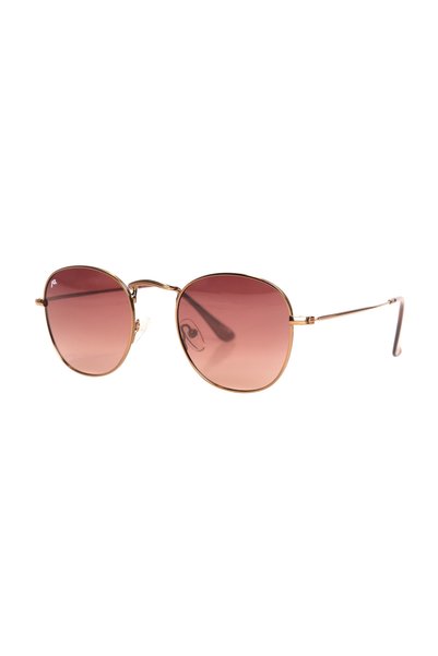 AR COLLECTİON AR COLLECTION UNISEX METAL POLARIZED SUNGLASSES AR2232