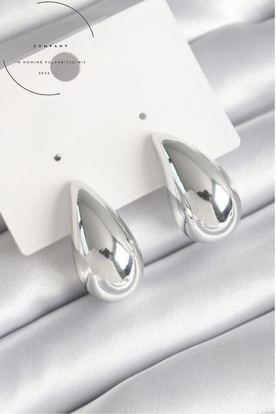 FORSEİ LUCA Damla Model 1 - Silver Color Double Steel Earrings