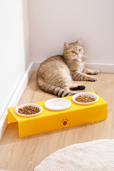 relaxco decoration & pet furniture وعاء ماء لطعام القطط والكلاب مكون من 3 قطع من السيراميك