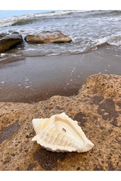 ÇAĞATÖLYE Silikon Kalıbı 1 Adet Istiridye Deniz Kabuğu Sunumluk Mumluk Kalıbı...