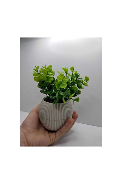 DDPEST B.bej Saksı Şimşir Yapay Çiçek Bitki Gerçek Taş Yosunlu 18 Cm Dekorati...
