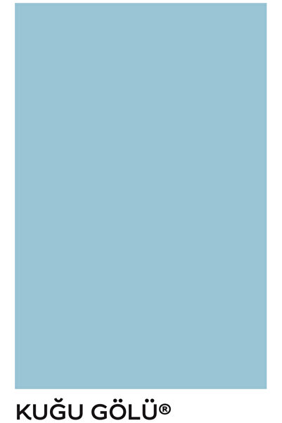 Marshall Silikonlu özel mat KUĞU GÖLÜ