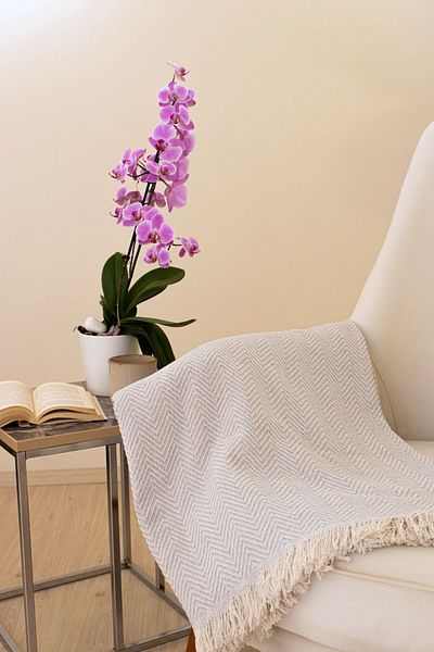 Tabu Home Husă pentru televizor Cozy Comfort Gri