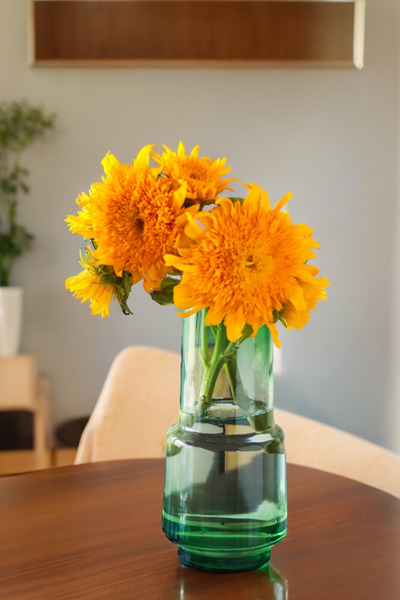 Binbirdemet Yeşil Simple Cam Vazo