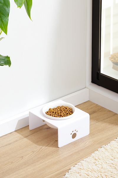 relaxco decoration & pet furniture Acrylic Ceramic Bowl Single Cat and Dog Food - Water Bowl Food Bowl