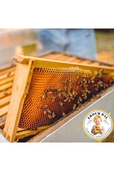 Erdem Bal Doğal Polifloralı Erdem Petekli Bal Net 3,2 Kg