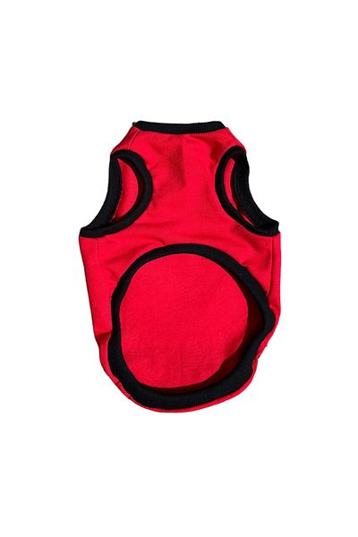 PetiliDünya Sunger Bob Dog and Cat Undershirt - T-Shirt