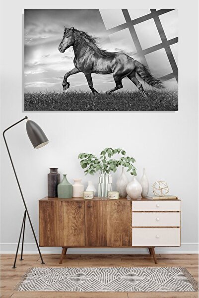 TAULART GörkemliAt 4mm Tabla de lux din sticlă temperată de înaltă rezoluție,...