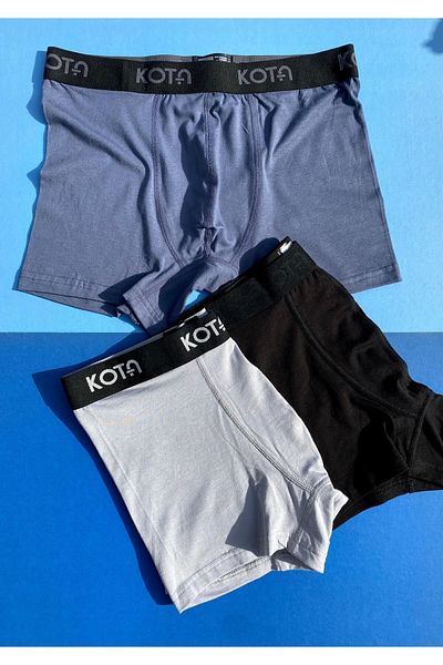 VicTroy Men's Modal Boxers - 3 Pieces, Non-Marking, Wide Elastic, Black, Claret Red, Beige Colors, Lycra