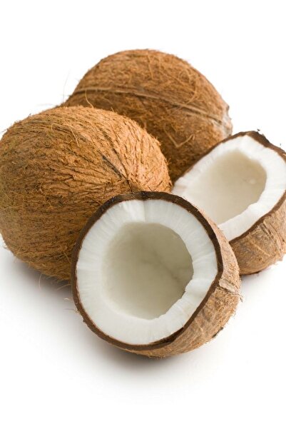 dalından tazecik Hindistan Cevizi ( 1 Adet )