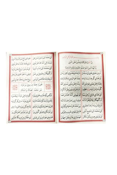 Ayfa Basın Yayın Kurdi Mevlidi Nebi Muhammed Emin Haydari