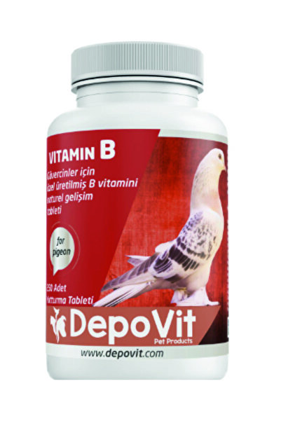 DEPOVİT Depovit B Vitamin Kompleksi 250 Adet