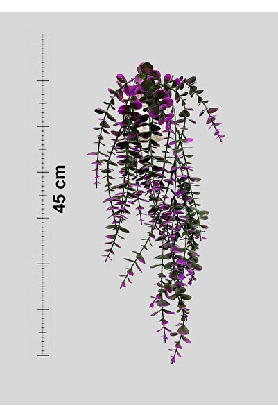 Lilac Home Özel Tasarım Iki Renkli Elmas Beyaz Saksılı Mor - Yeşil Okaliptus Sarkıtı