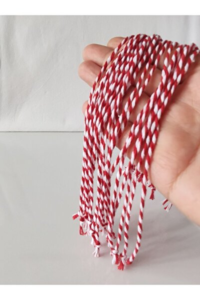 HANIMKIZ Red and White Lucky Bracelet Gift Set of 10