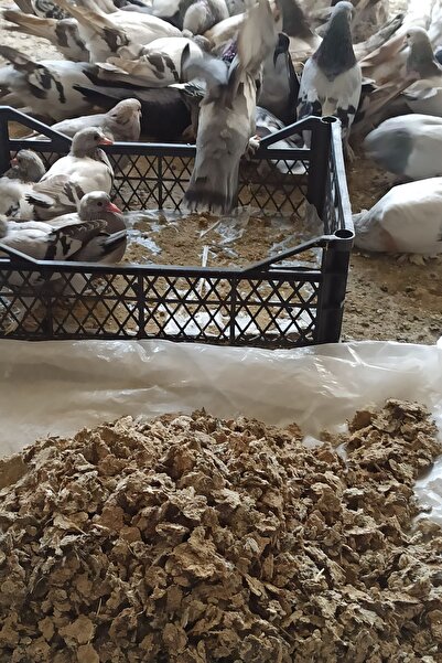 OneDay Doğal Güvercin Gübresi 3 Kg