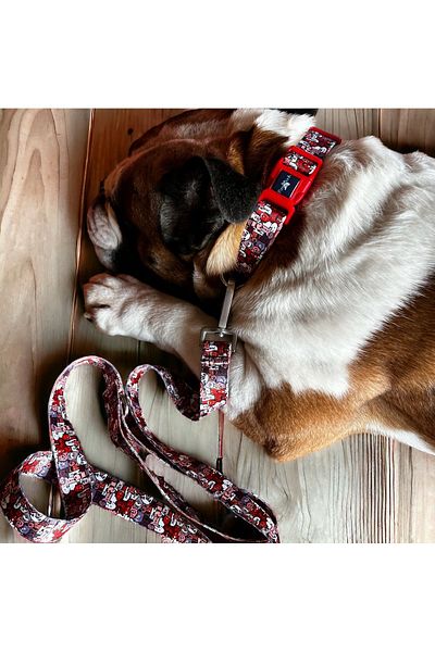 PAWLOOK Dog Walking and Neck Collar Set - Paws Set of Two