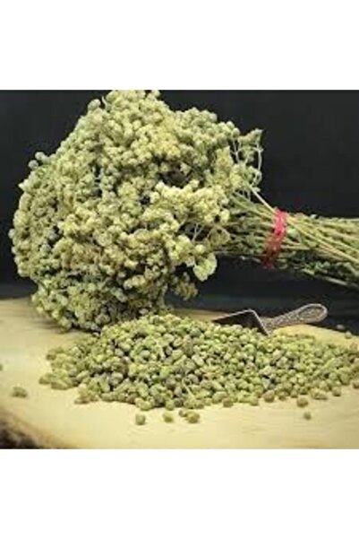 Taze ve Organik Kekik Demet