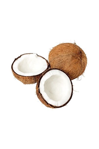 dalından tazecik Hindistan Cevizi ( 1 Adet )