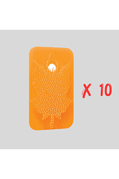 Rulopak Sihirli Koku Yaprağı Mango ( 10'lu )