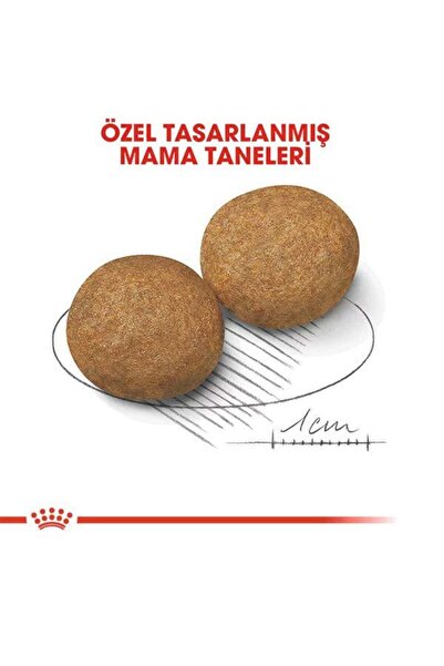 Royal Canin Medium Adult Yetişkin Köpek Maması 15 Kg