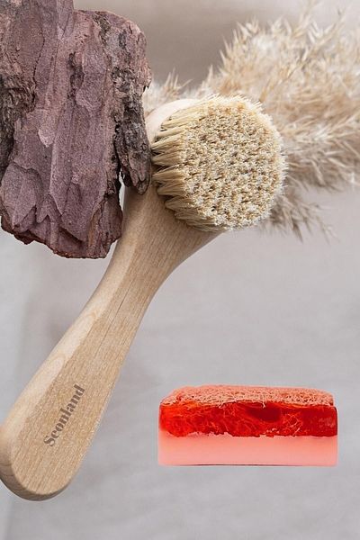 Seonland Natural Horsehair Facial Care Brush and Donkey Milk Soap Set - Set of 2