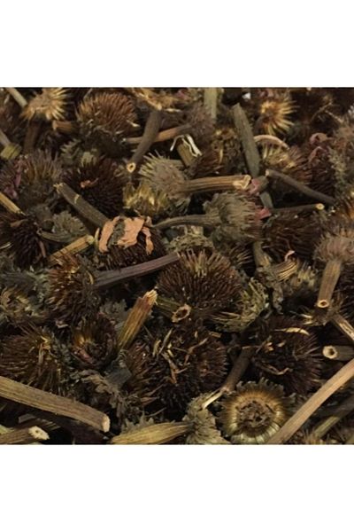 Bakkal Hasan 25 gr Echinacea - Bakkal Hasan
