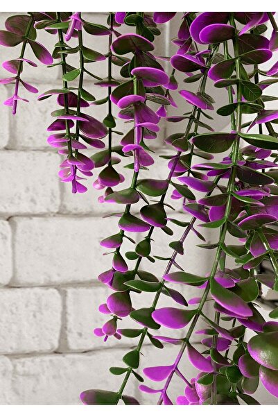 Lilac Home Özel Tasarım Iki Renkli Elmas Beyaz Saksılı Mor - Yeşil Okaliptus Sarkıtı