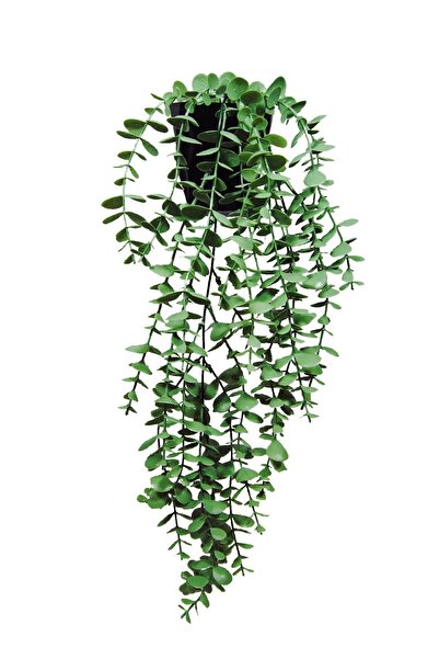 Lilac Home Artificial Flower Diamond Black Cobalt Ida Green Eucalyptus Pendant