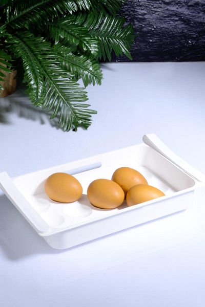Rotanev Eggo 15-Piece In-Cabinet Egg Storage Box - Practical Snap and Latch Shelf Egg Holder