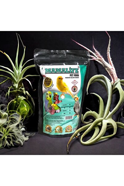 mnö mammamia mix Yavru Gelişim Maması 1 Kg Mamalife Mammamiamix