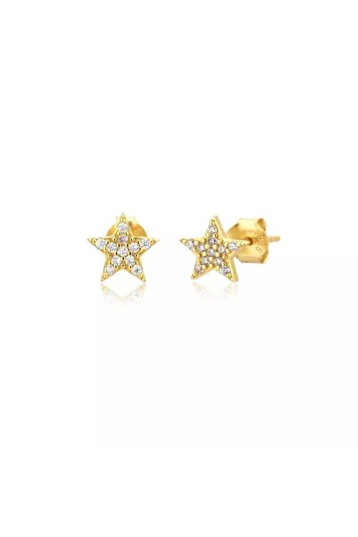 ESJ 925 Ayar Gümüş Zirkon Taş Yıldız Çocuk Küpesi