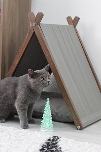 Ketu Kedi Evi