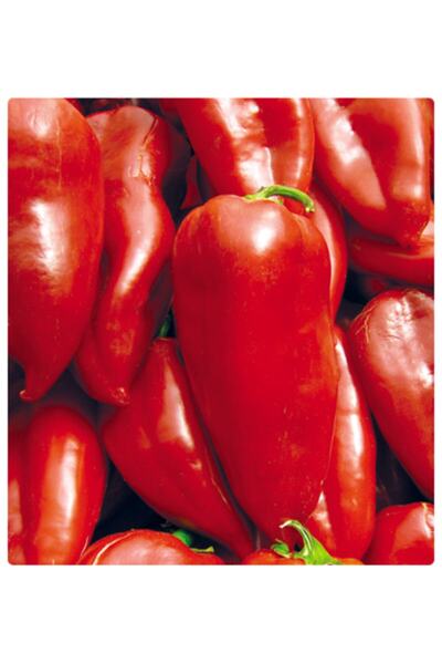 Arzuman Tohum Arzuman Kapya Biber Tohumu(yağlık-salçalık) 10 Gr