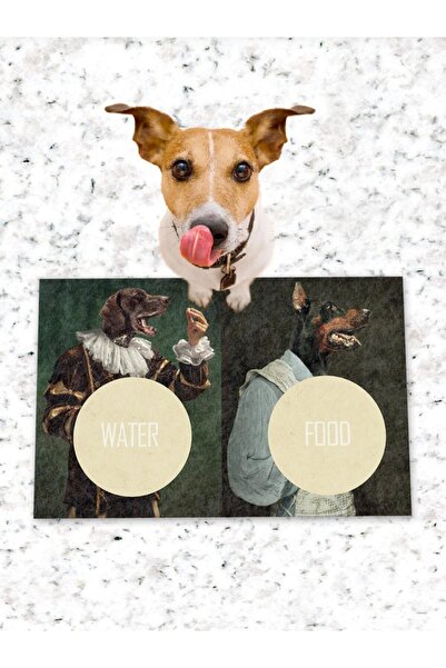 Patipeti طعام للكلاب والقطط وقاعدة تدريب مع قاعدة مضادة للانزلاق