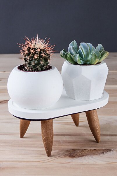 tasarımbo Masif Ahşap Ayaklı 2' Li Beyaz Beton Kaktüs Saksı Seti , Sukulent D...