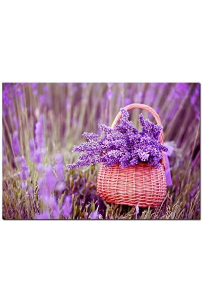 Cakatablo Ξύλινος πίνακας με λεβάντες σε καλάθι (Μέγεθος 25x35 εκ.)