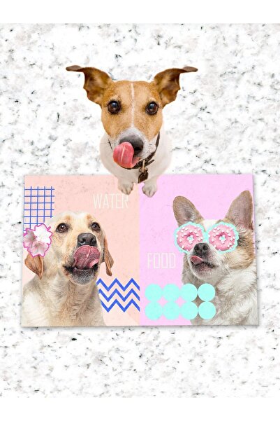 Patipeti طعام للكلاب والقطط وقاعدة تدريب مع قاعدة مضادة للانزلاق