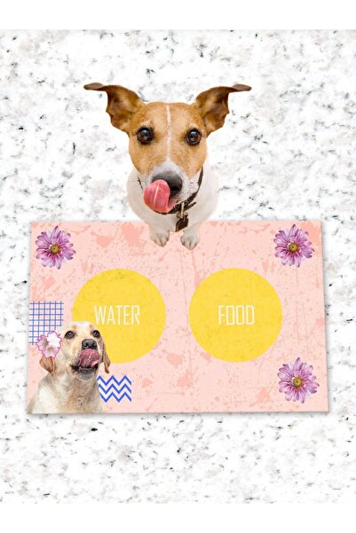 Patipeti طعام الكلاب والقطط وزهرة الكلب وقاعدة التدريب