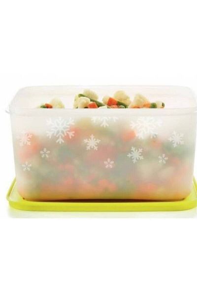 Tupperware (2 Pieces) Alaska 2.5 Lt (Great Storage Container for Freezers)