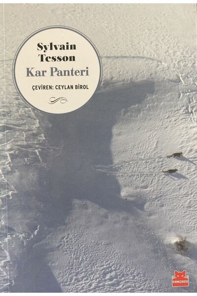 Kırmızı Kedi Yayınları Cahit Arf - Çocuk Dahilerden Büyük Dehalara Kitabı - M...