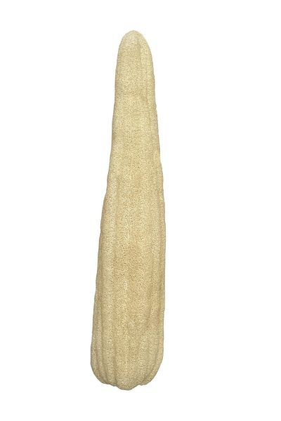 ilaslan international Natural Pumpkin Fiber (60-70 CM), Kitchen And Bathroom, Natural Scrub