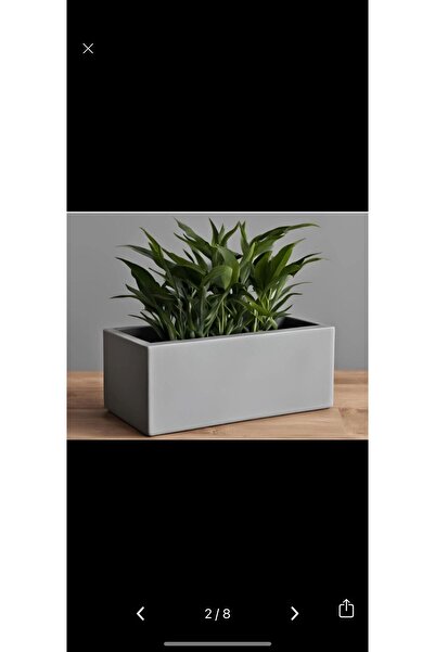 abbaatölye Minimalist saksı