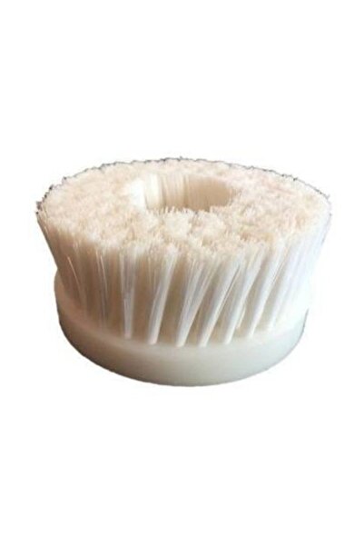 Eagles Sert Halı Temizleme Polisaj Fırçası