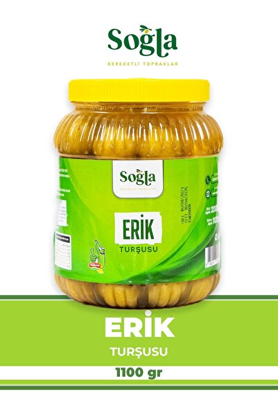 SOĞLA ZEYTİNCİLİK Erık Turşusu 1100 gr